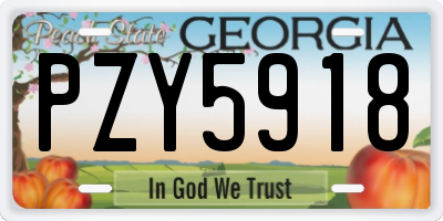 GA license plate PZY5918