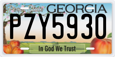 GA license plate PZY5930