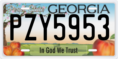GA license plate PZY5953