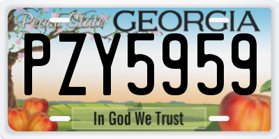 GA license plate PZY5959