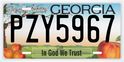 GA license plate PZY5967