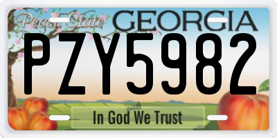 GA license plate PZY5982