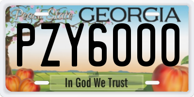 GA license plate PZY6000
