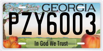 GA license plate PZY6003