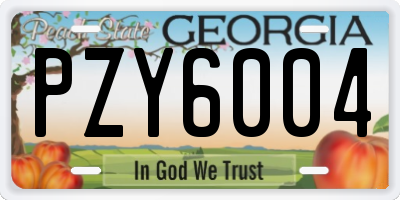 GA license plate PZY6004