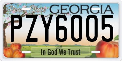 GA license plate PZY6005