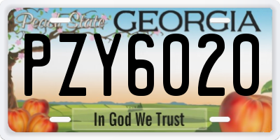 GA license plate PZY6020
