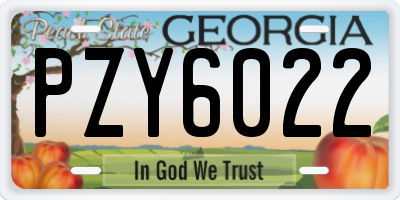 GA license plate PZY6022