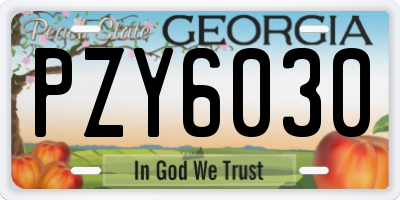 GA license plate PZY6030