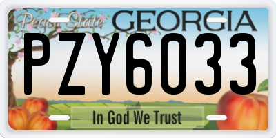 GA license plate PZY6033