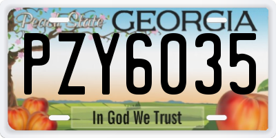 GA license plate PZY6035
