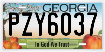 GA license plate PZY6037
