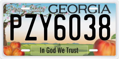 GA license plate PZY6038