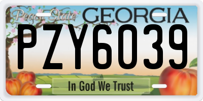 GA license plate PZY6039