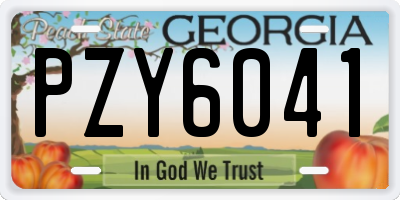 GA license plate PZY6041