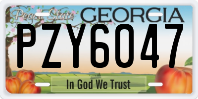 GA license plate PZY6047