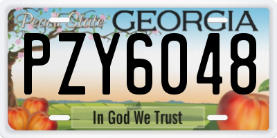 GA license plate PZY6048