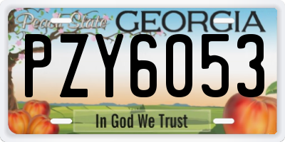 GA license plate PZY6053