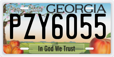 GA license plate PZY6055