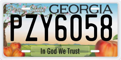 GA license plate PZY6058