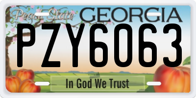 GA license plate PZY6063