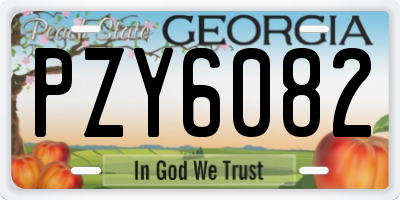 GA license plate PZY6082