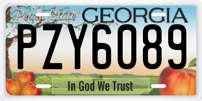 GA license plate PZY6089