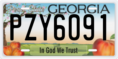 GA license plate PZY6091