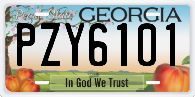 GA license plate PZY6101