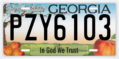 GA license plate PZY6103