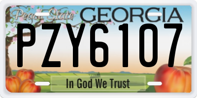 GA license plate PZY6107