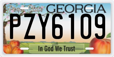 GA license plate PZY6109