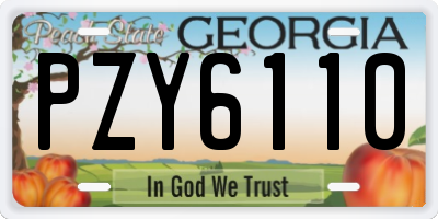 GA license plate PZY6110