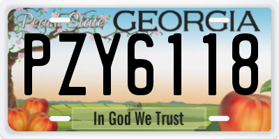 GA license plate PZY6118