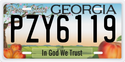 GA license plate PZY6119