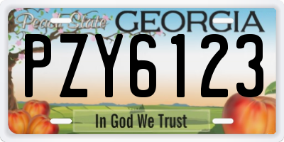 GA license plate PZY6123