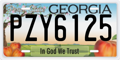 GA license plate PZY6125