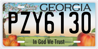 GA license plate PZY6130