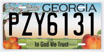 GA license plate PZY6131