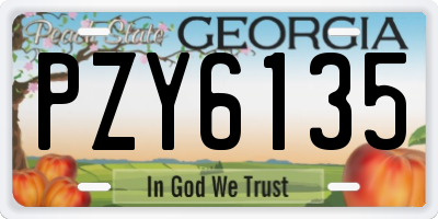 GA license plate PZY6135