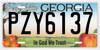 GA license plate PZY6137