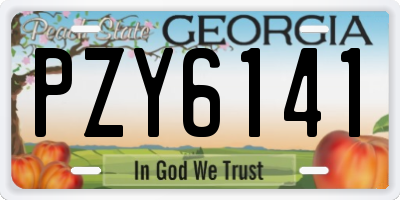 GA license plate PZY6141
