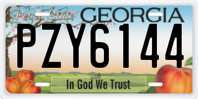GA license plate PZY6144