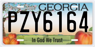 GA license plate PZY6164