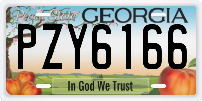 GA license plate PZY6166