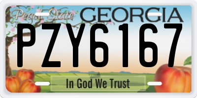 GA license plate PZY6167