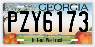GA license plate PZY6173