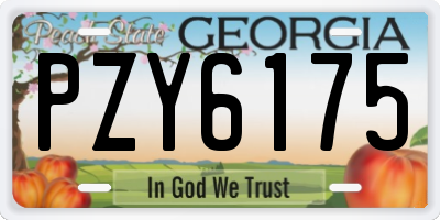 GA license plate PZY6175