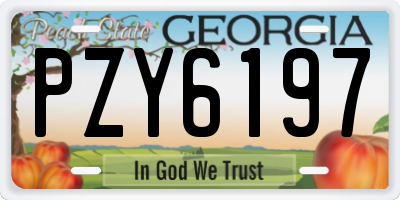 GA license plate PZY6197