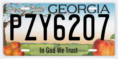 GA license plate PZY6207